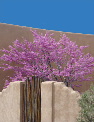 Placitas Studio Tour